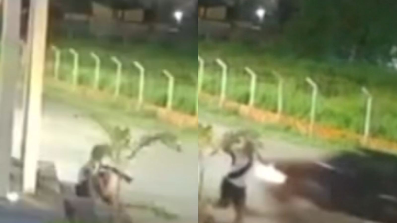 foto Not&iacute;cia Teresina