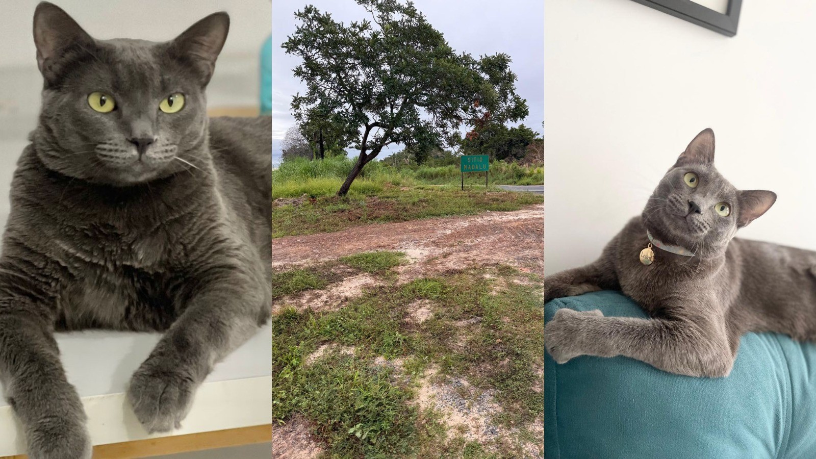 foto Not&iacute;cia Teresina