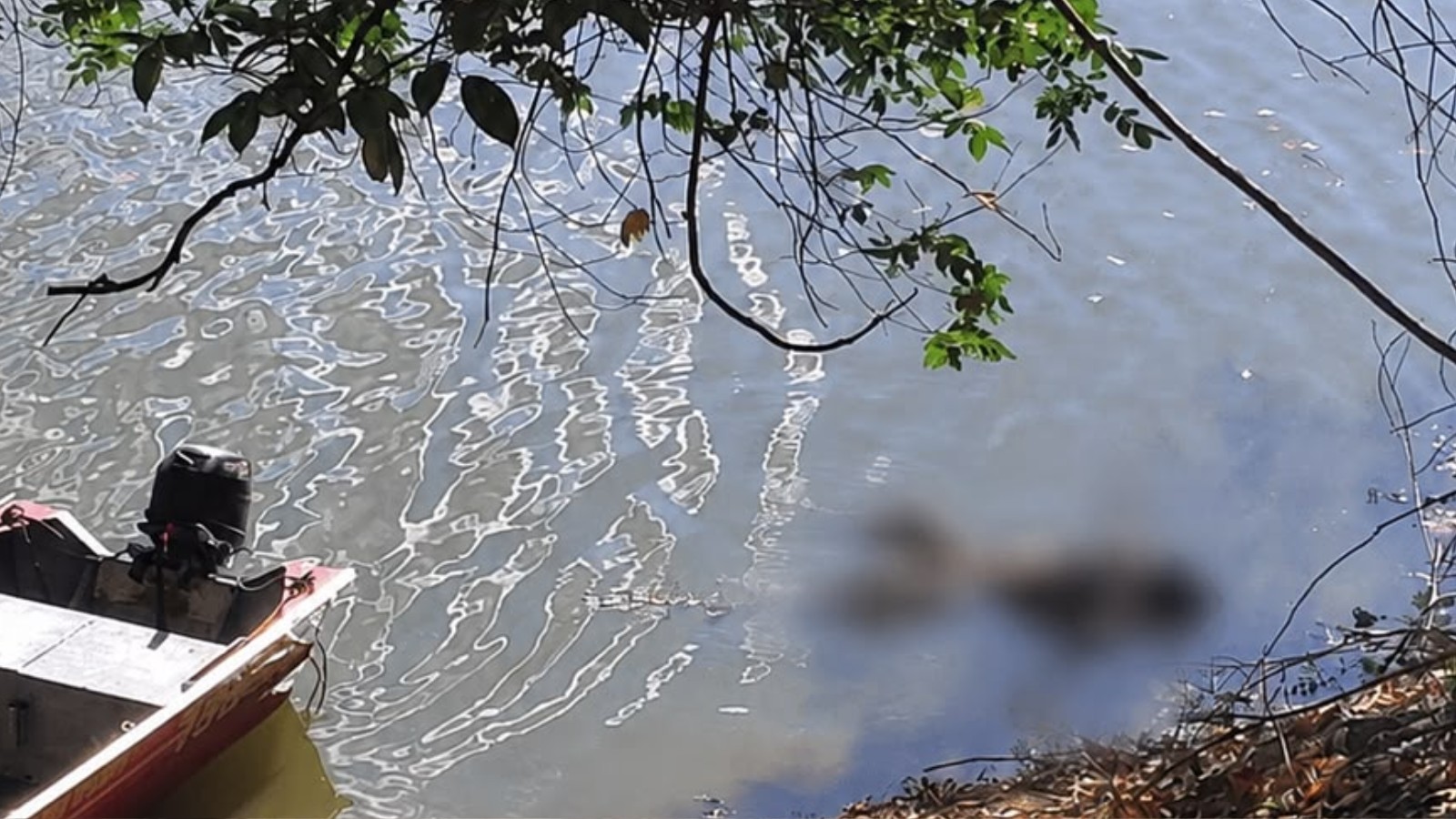 foto Not&iacute;cia Teresina